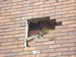 Emmanuel Church Development Langworthy Road Salford